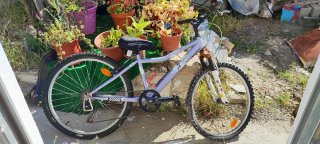 Bicicleta Morada Infantil que lo ha dado todo.