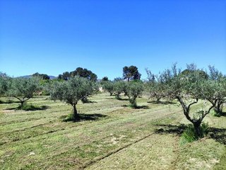Chalet en venta en Ontinyent