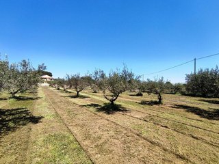 Chalet en venta en Ontinyent