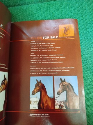 Revista Horse arabian world 1987 antigua magazine