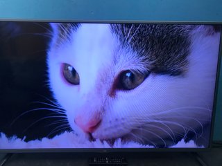 LG LED Smart TV de 32 pulgadas