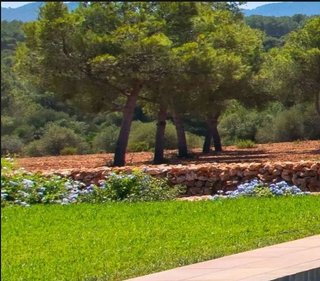 Casa rural en alquiler en Manacor Centro en Manacor