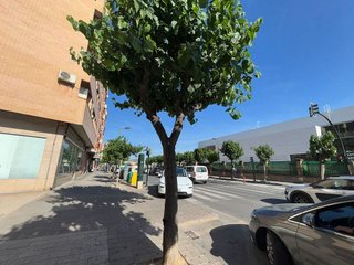 Local comercial en alquiler en El Carmen en Murcia