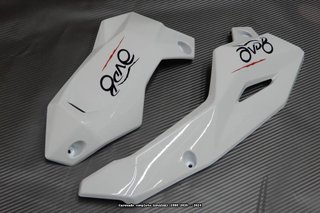 Carenado Avdb KAWASAKI Z900 2020 - 2024