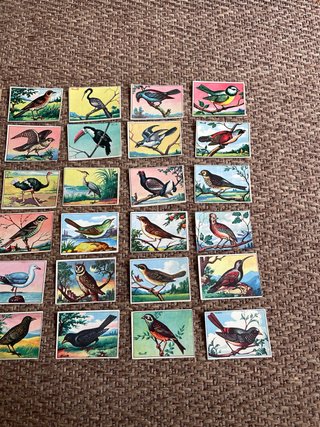 Antiguos cromos de  pájaros portugueses