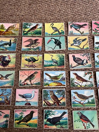 Antiguos cromos de  pájaros portugueses