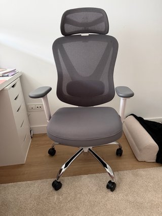 Silla de Oficina Ergonómica HOLLUDLE Gris