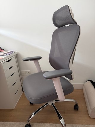 Silla de Oficina Ergonómica HOLLUDLE Gris