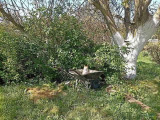 Terreno en venta en Antigua Estación FFCC - San Agustín en Burgos