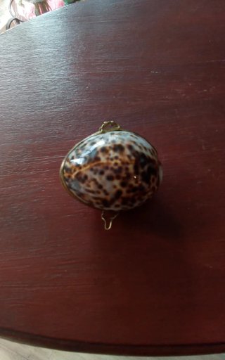 Cajita de concha