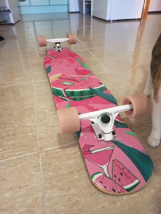 Longboard rosa