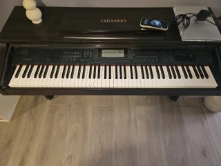 Piano Digital Negro