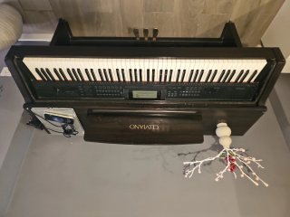 Piano Digital Negro