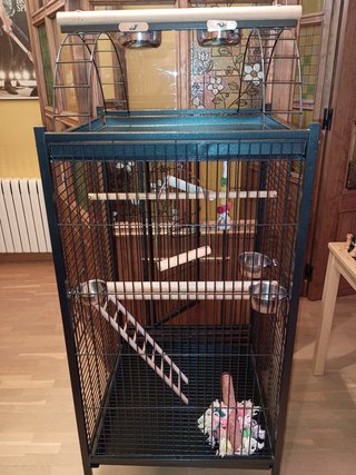 Jaula Grande Negra para Loros