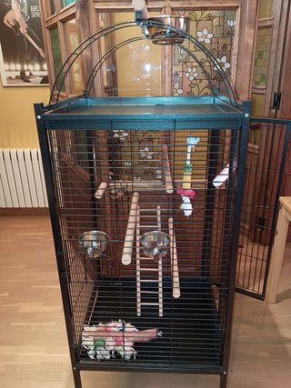 Jaula Grande Negra para Loros