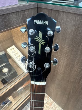 Guitarra Electrica Yamaha RJ420D