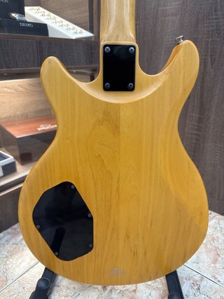 Guitarra Electrica Yamaha RJ420D