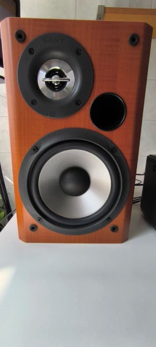 Minicadena Panasonic SA-PM250 + Altavoces Sony