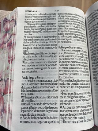 BIBLIA REINA VALERA 1960 COMPACTA IMITACION PIEl