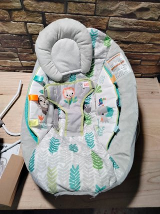 Bright Starts JUNGLE VINES Hamaca Reclinable