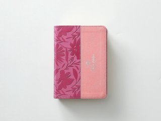 Biblia RVR60 tamaño compacto Letra GRande