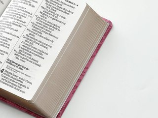 Biblia RVR60 tamaño compacto Letra GRande