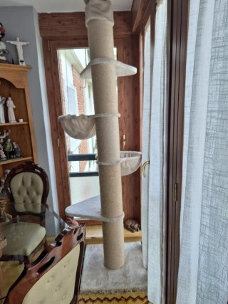 Árbol rascador para gatos