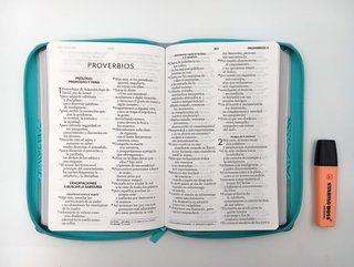 Biblia NVI Peninsular Tamaño manual Letra Grande T