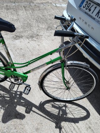 Bicicleta Vintage Verde