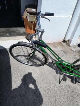 Bicicleta Vintage Verde