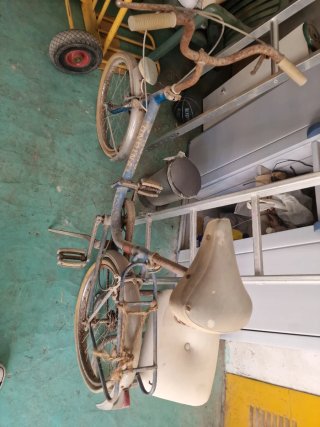 Bicicleta Ondina Clásica
