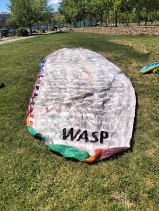 Parapente BGD WASP