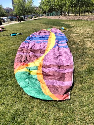 Parapente BGD WASP
