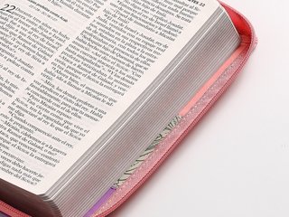 Biblia NVI Peninsular Tamaño manual letra Grande T