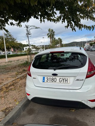Ford Fiesta 2010