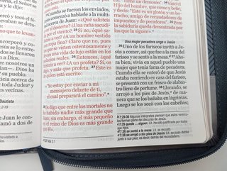 Biblia NVI Peninsular Tamaño Manual Letra Grande T