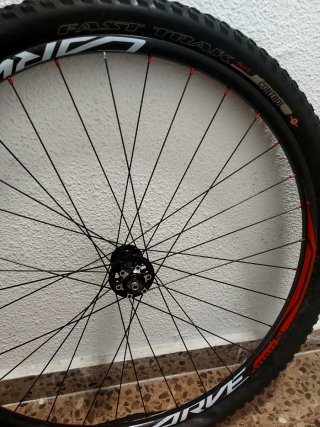 Rueda Delantera Bicicleta 29