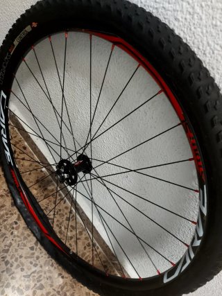 Rueda Delantera Bicicleta 29
