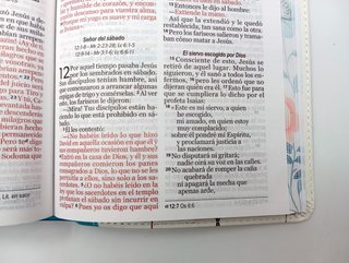 Biblia NVI Peninsular Portátil Letra GRande Floral