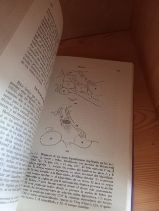 Psicología de la motivación