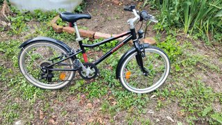 Bicicletta bambina 20 pollici