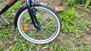 Bicicletta bambina 20 pollici