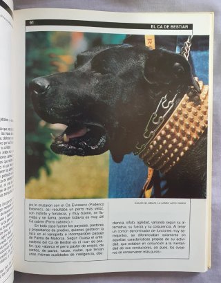 Las Razas Caninas Españolas