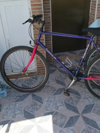Bicicleta Flandria Morada y Rosa