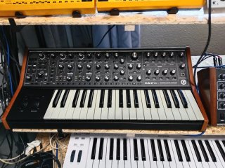Moog Sub 37 Tribute Bob Moog Sintetizador