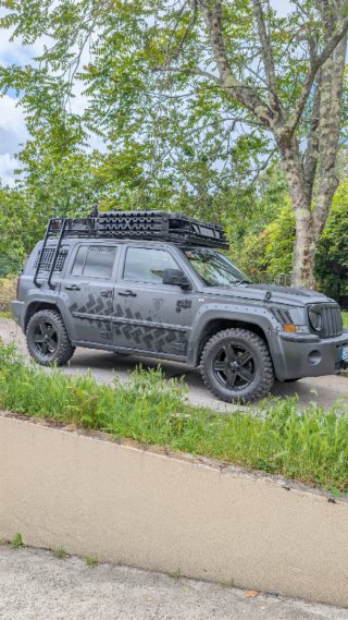 Jeep Patriot 2008 - Todoterreno 4x4