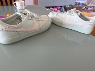 Nike SB Verde