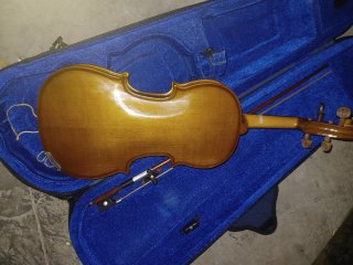 Violín Stentor con estuche rigido y arco