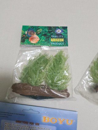 Plantas y rocas para acuario