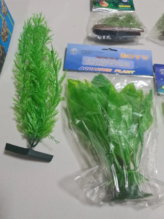 Plantas y rocas para acuario